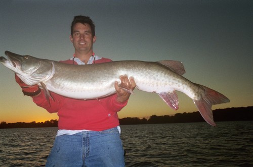 Muskie Fishing Photo