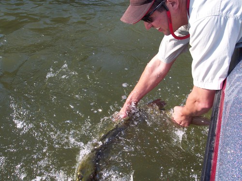 Muskie Fishing Photo