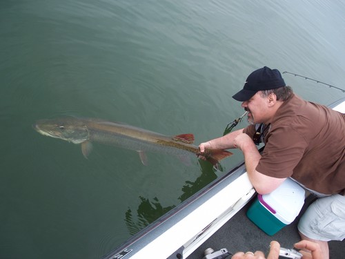 Muskie Fishing Photo