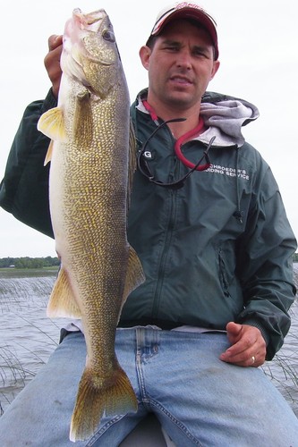 Walleye Fishing Photo